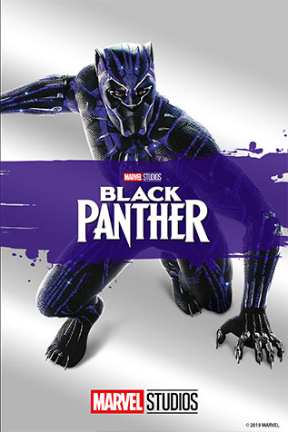 Black Panther box art