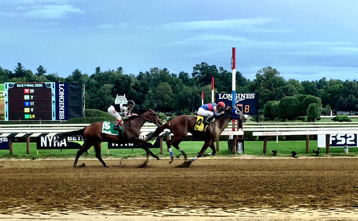 Here's a close-up shot of the track for the Travers race.