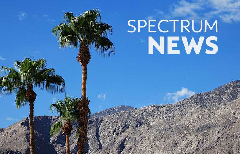 Palm trees and a Spectrum News logo