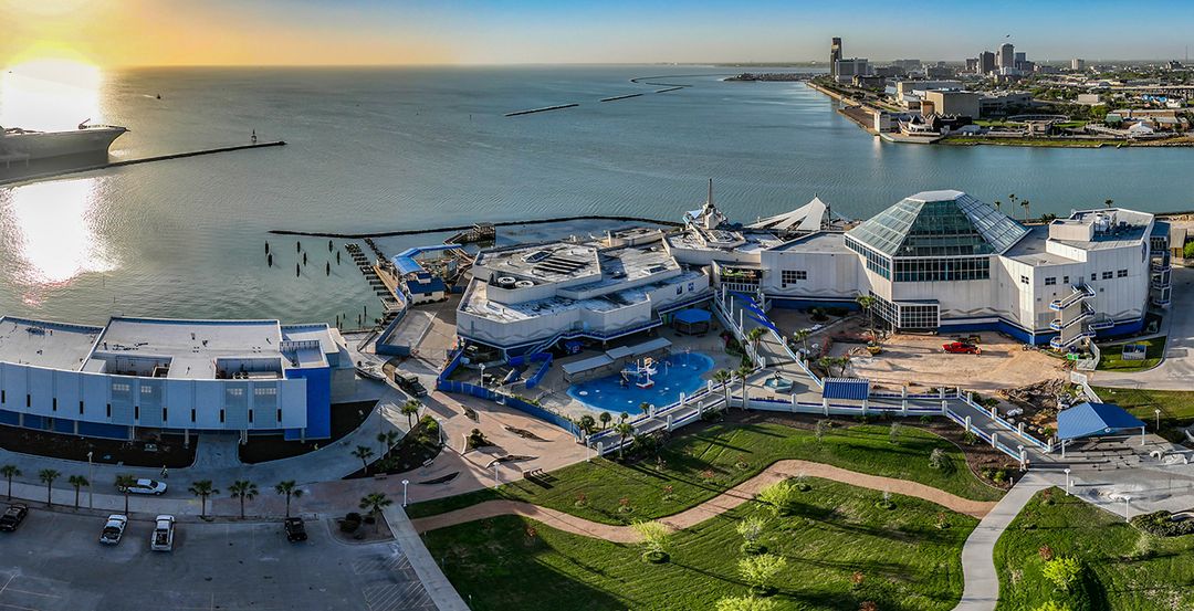 Texas Aquarium Leverages Spectrum Enterprise Technology Charter texas-aquarium-leverages-spectrum-enterprise-technology-charter