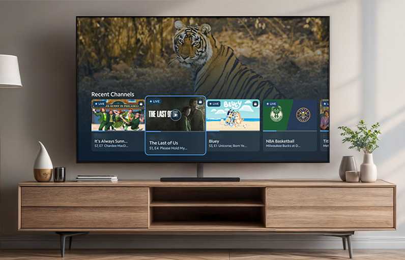 TV on a console with lamp and plants