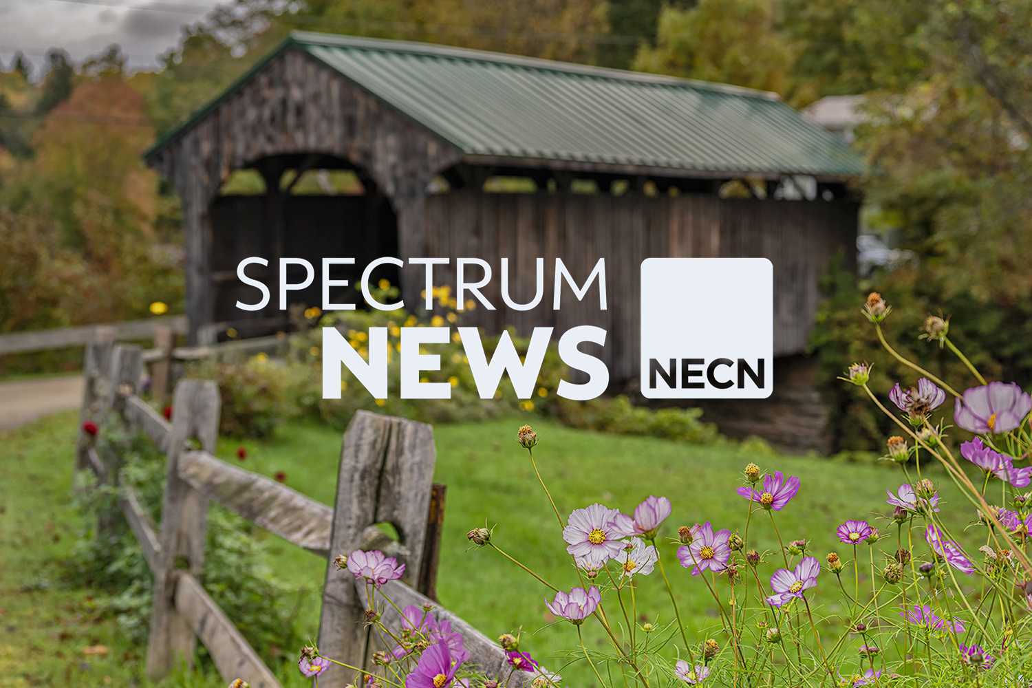 Spectrum NECN Launch