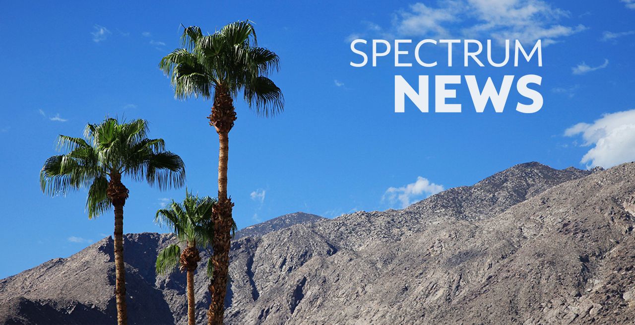 Palm trees and a Spectrum News logo