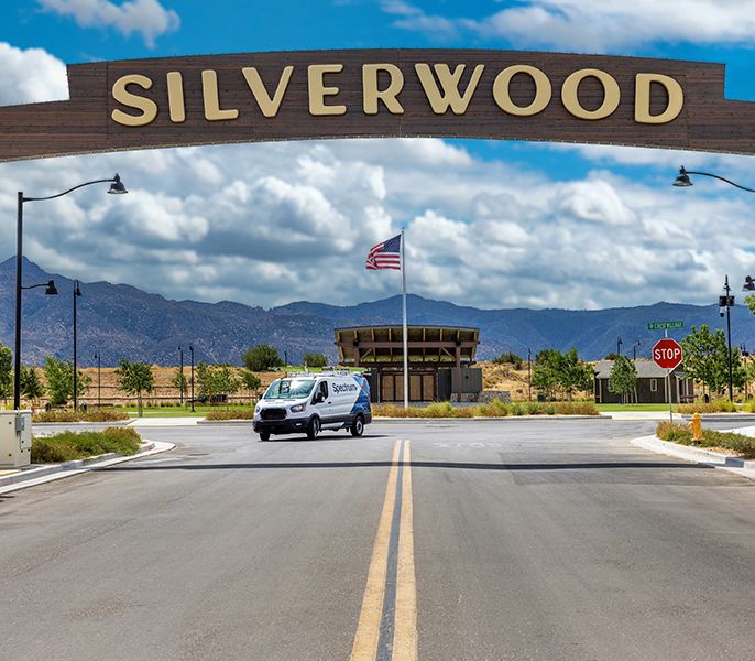 The arch at Silverwood 