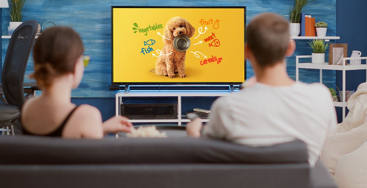 Two people with a dog on a couch watching a TV commercial for dog food