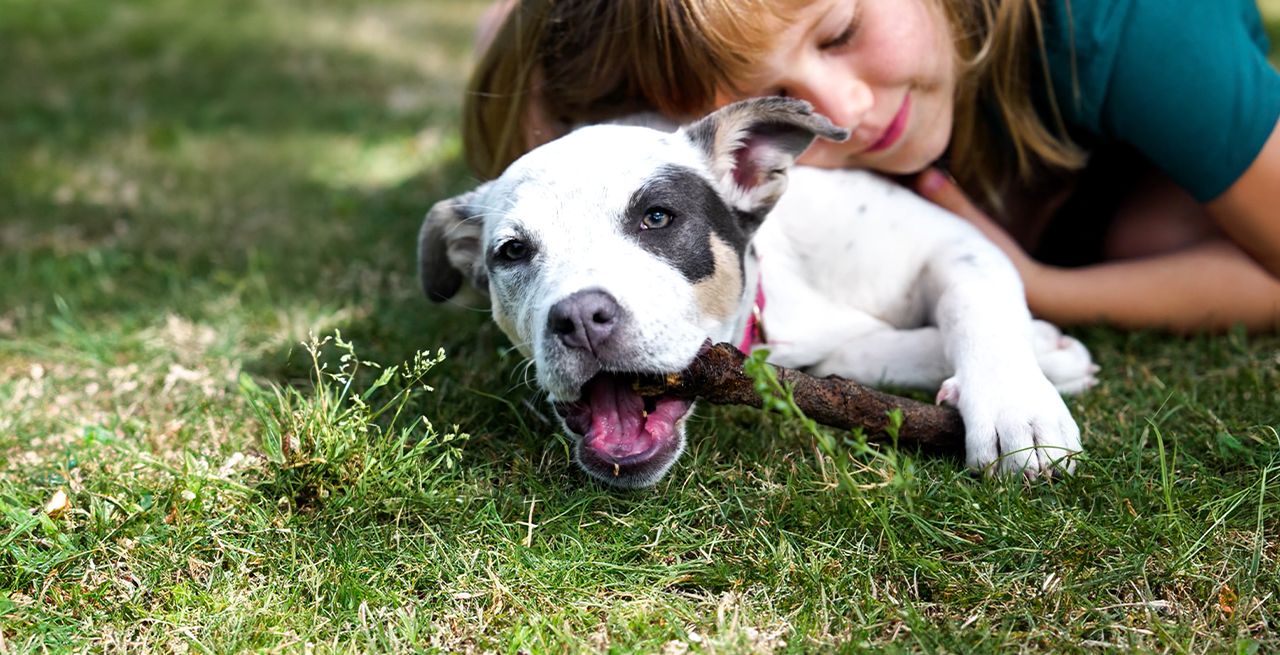 A girl and her dog playing in the grass